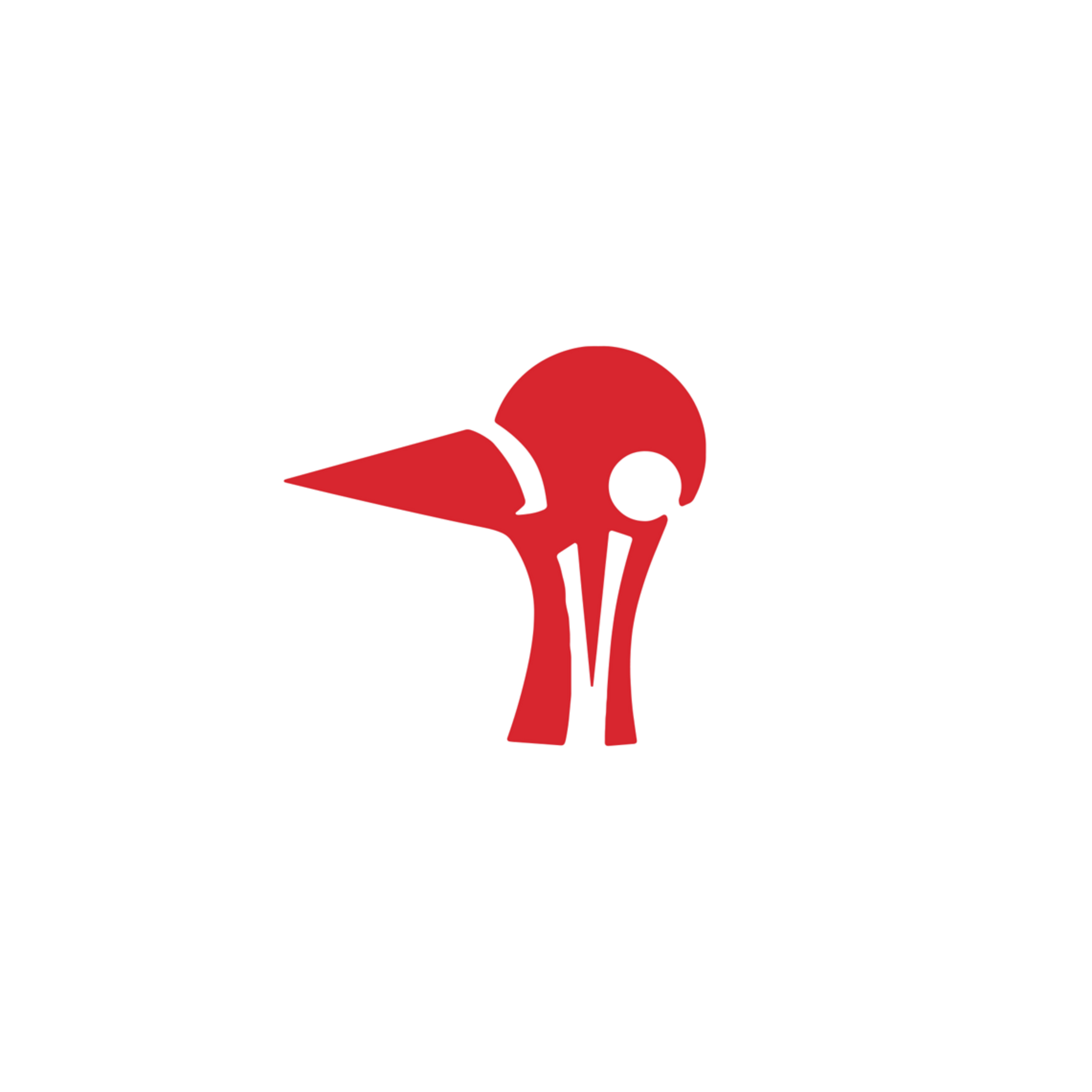 Red abstract bird-like logo on a white background